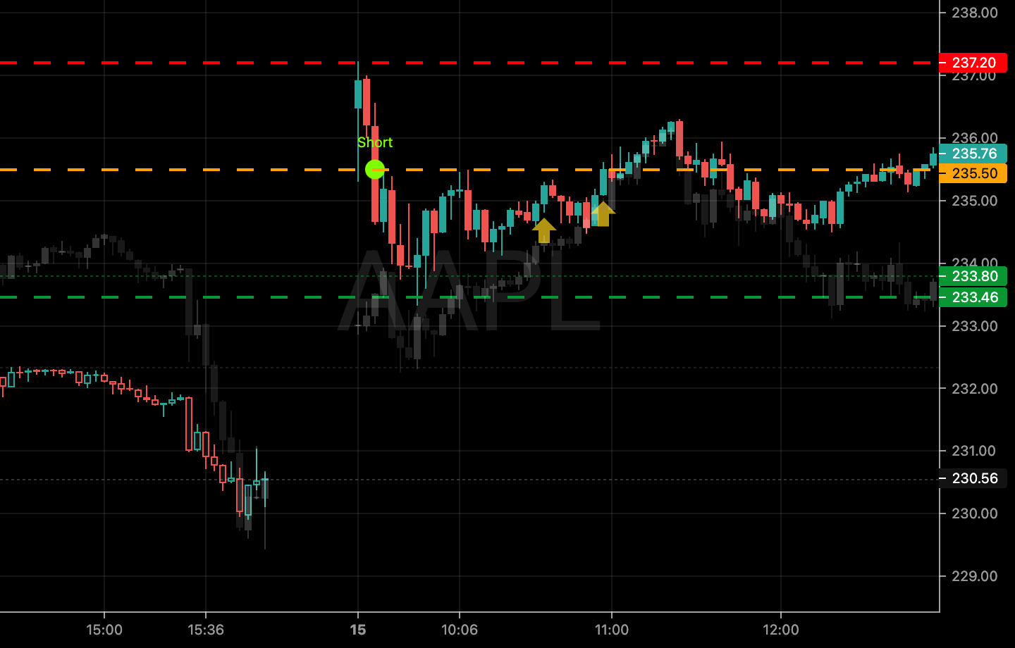 2024-07-13-59-AAPL