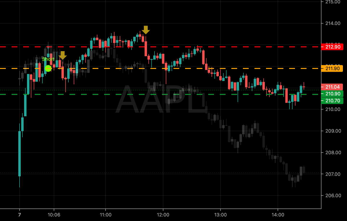 2024-08-07-2-AAPL