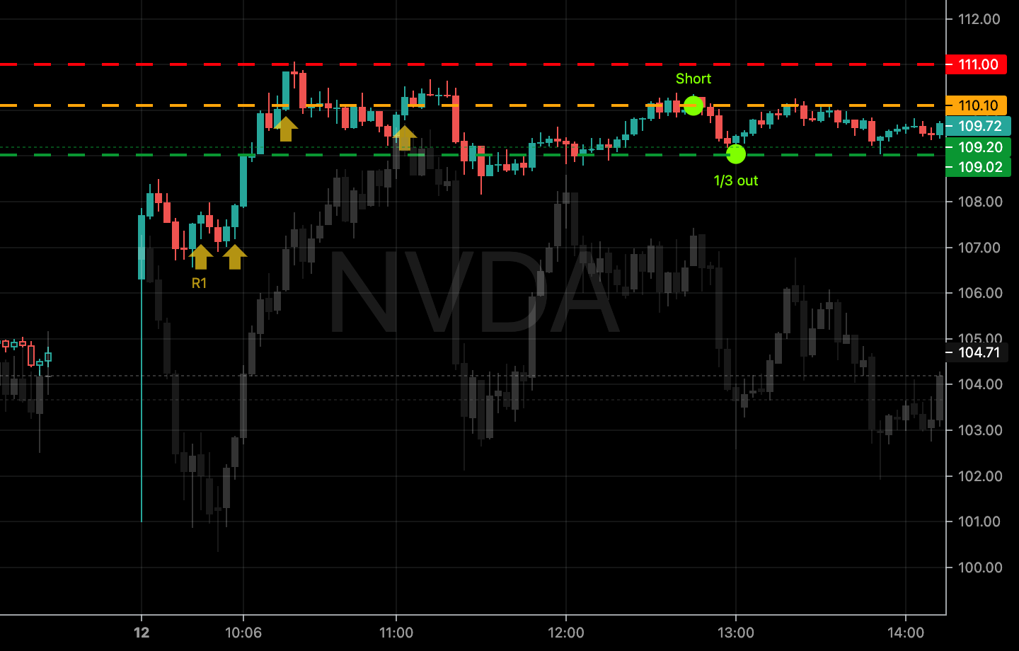 2024-08-10-3-NVDA
